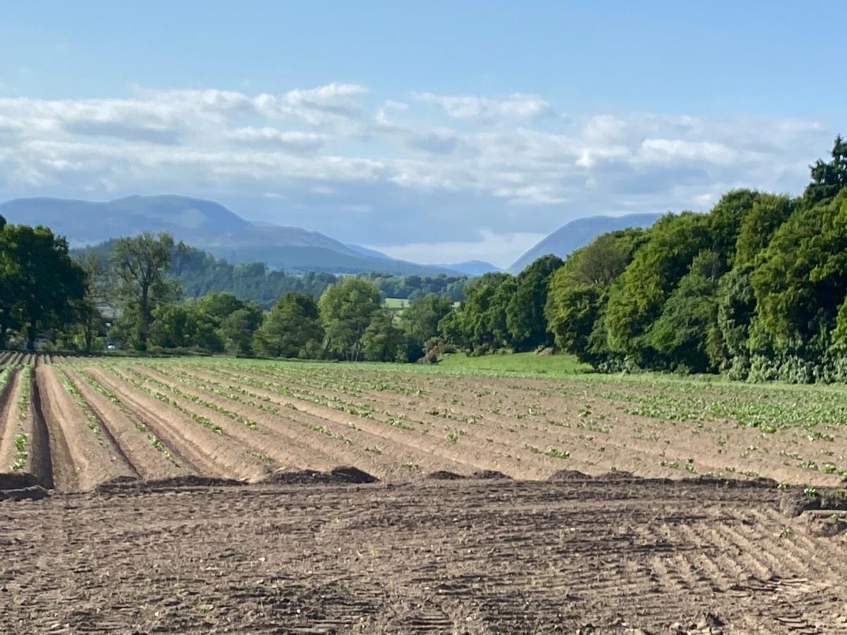 Spacious Cottage - Walk To Crieff Exterior photo